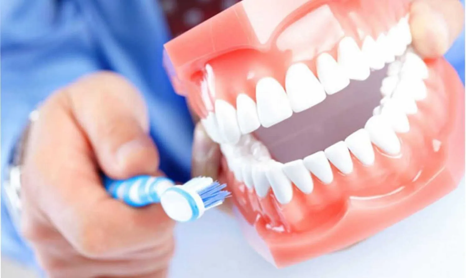 Mano cepillando con un cepillo de dientes azul un modelo de dentadura con encías rojas
